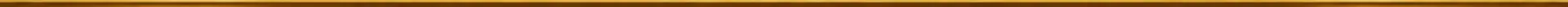 section divider